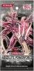 �y�R�i�~�z�V�Y�� �t�@�C�u�f�B�[�Y OCG ABSOLUTE POWERFORCE