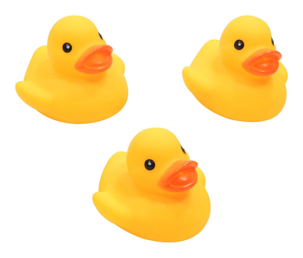 ���������A�q���i��j